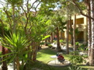 DSCN1930